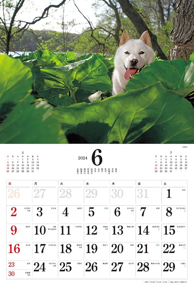 2024年カレンダー ニッポンの犬 ([カレンダー]) | 岩合光昭 |本